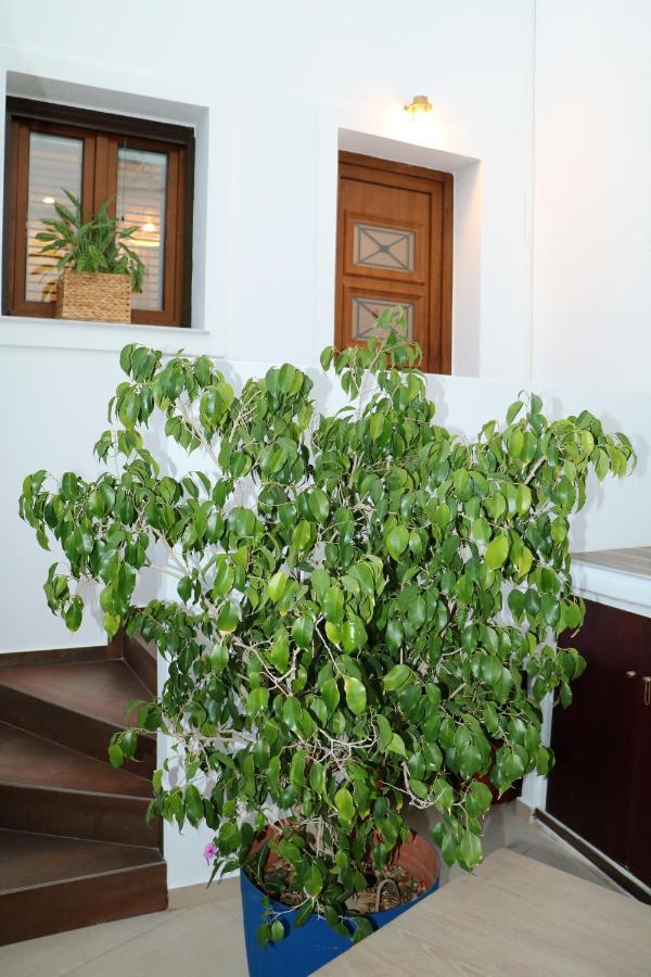 Angelica'S Deluxe Rooms In Adamas Exterior foto